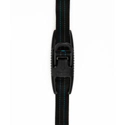 sangles surf fcs d ring tie downs
